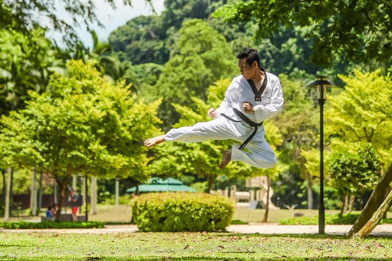 Kung Fu Classes